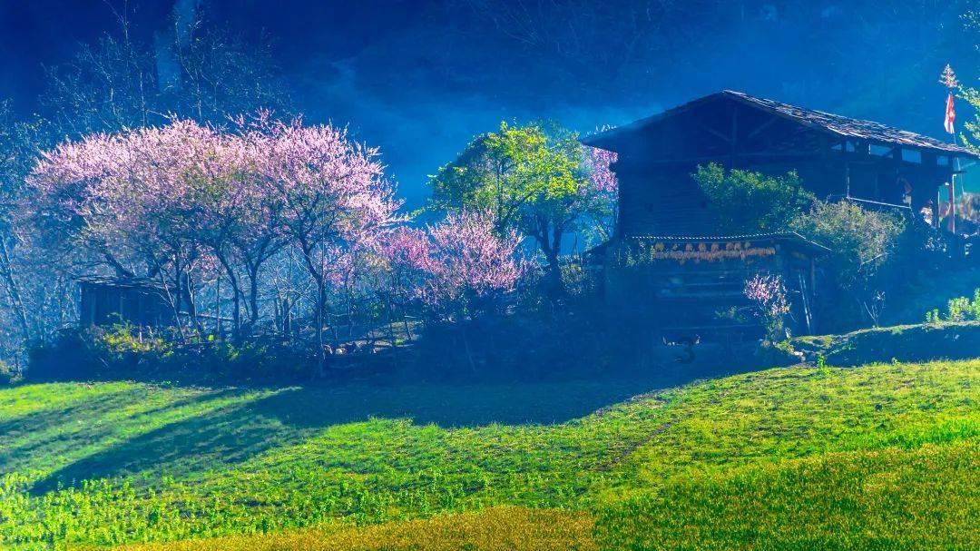 组装机械章鱼龙